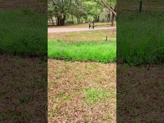 Tecnología innovadora Panel solar portátil de 100 W para aventuras al aire libre